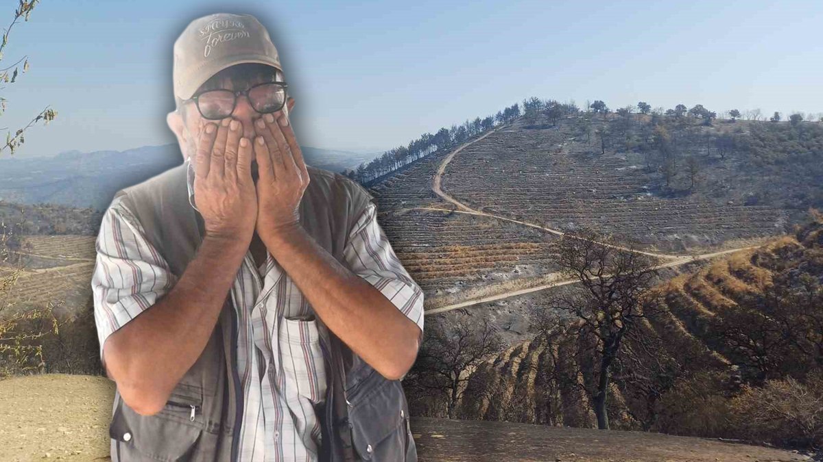 Manisa'daki 6 günlük yangın dehşetini çiftçi anlattı: Sadece canımızı kurtardık