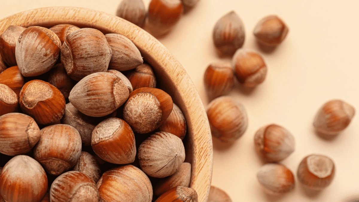 Sabah aç karnına 3 tane fındık yiyenlerde o sorunlardan eser kalmıyor! Faydasını duyan avuç avuç yiyecek