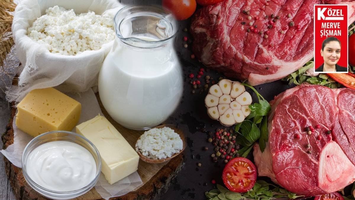 Sütte faturayı gelecek nesiller ödeyecek: Peynir fiyatı etten pahalı olacak