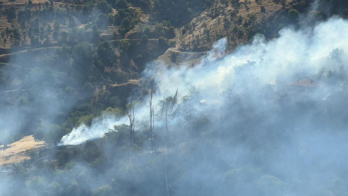 Malatya'da otluk alanda çıkan yangın ormana sıçradı