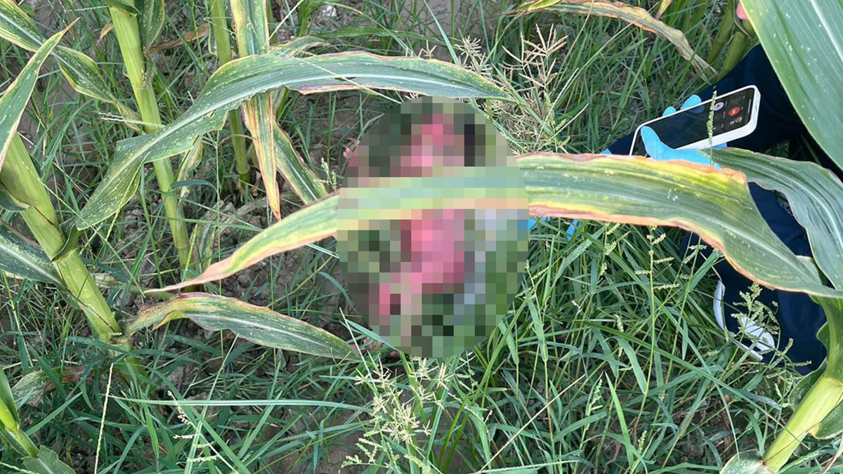 Tarladan gelen bebek sesleri korkunç gerçeği ortaya çıkardı: Annesi 15 yaşında! Cinsel istismara maruz kalmış
