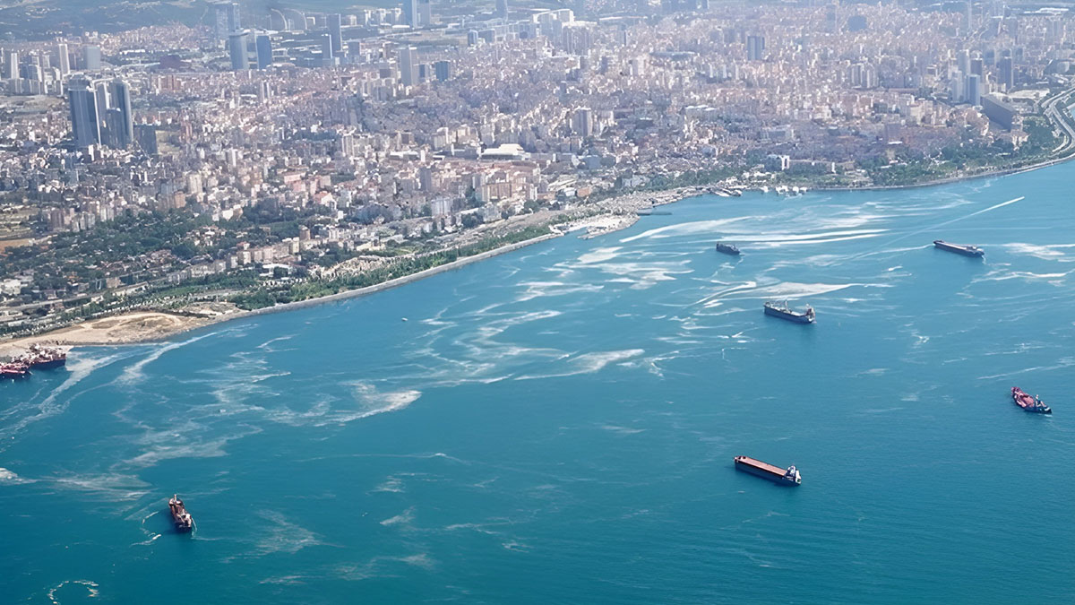 Marmara Denizi komaya girdi: Çevre felaketi kapıda! Kimse farkında değil, oksijen seviyesi kritik seviyede