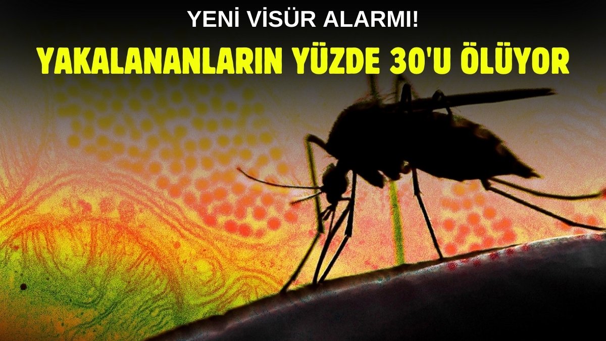 Sineklerden uzak durun! ABD'yi kasıp kavuran yeni virüs alarmı: Bulaşanların yüzde 30'u ölüyor