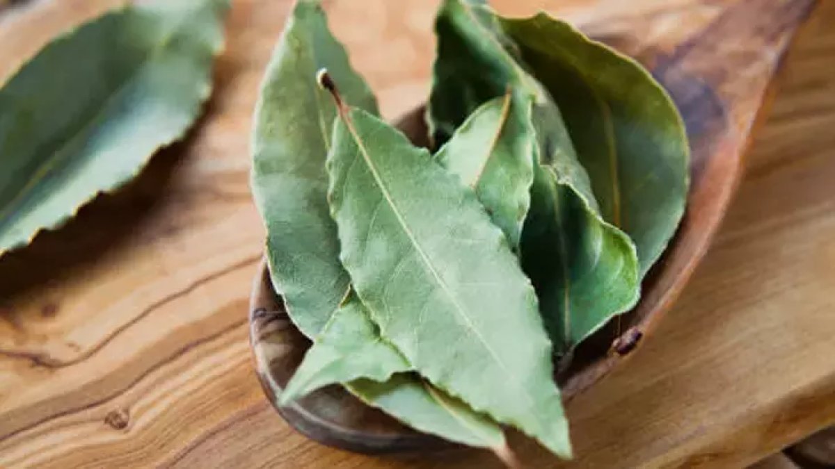 Uyumadan önce yastığın altına defne yaprağı koyun, mucizeyi görün! Yastık altına defne yaprağı koymak ne işe yarıyor?