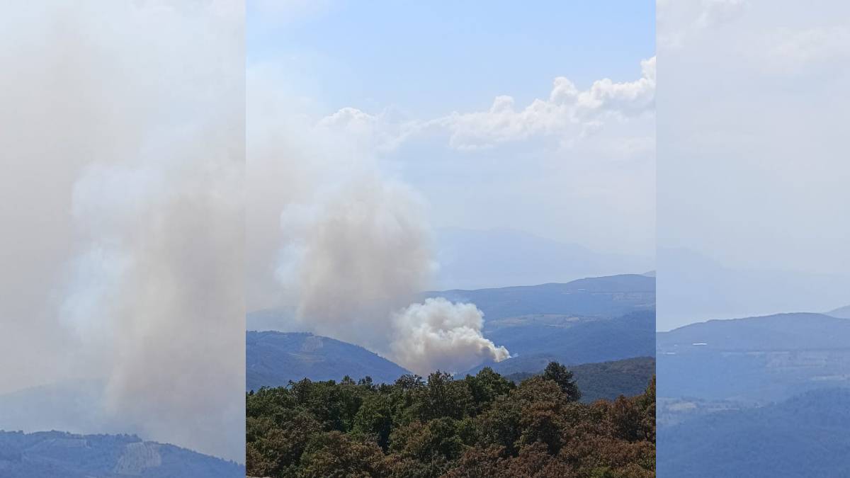 Bursa'da orman yangını: Alevlere müdahale sürüyor