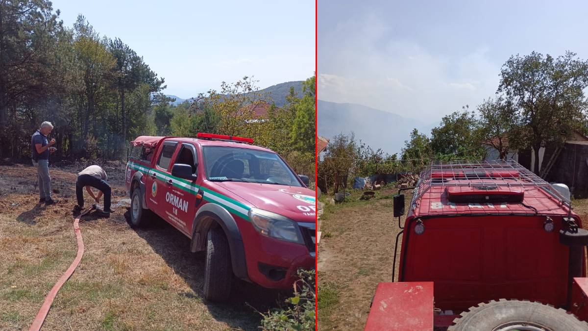 Düzce'de orman yangını: Köye ulaşmadan kontrol altına alındı