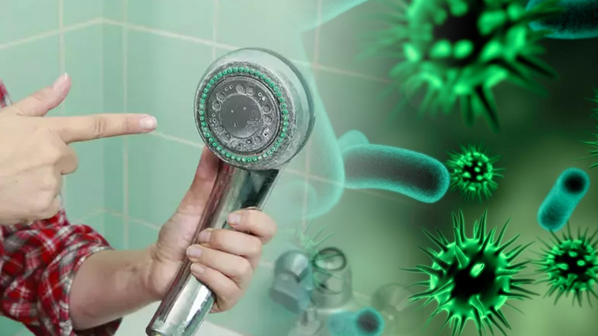 Meğer mikrop yuvasıymış! Duş başlığını temizlemenin basit yolu, tüm kireç ve pası akıtıyor