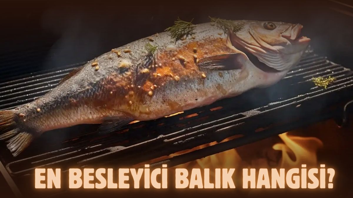 Sezon geliyor faydaları saymakla bitmiyor! Denizlerin besleyici devleri: Bakın en faydalısı hangisi?