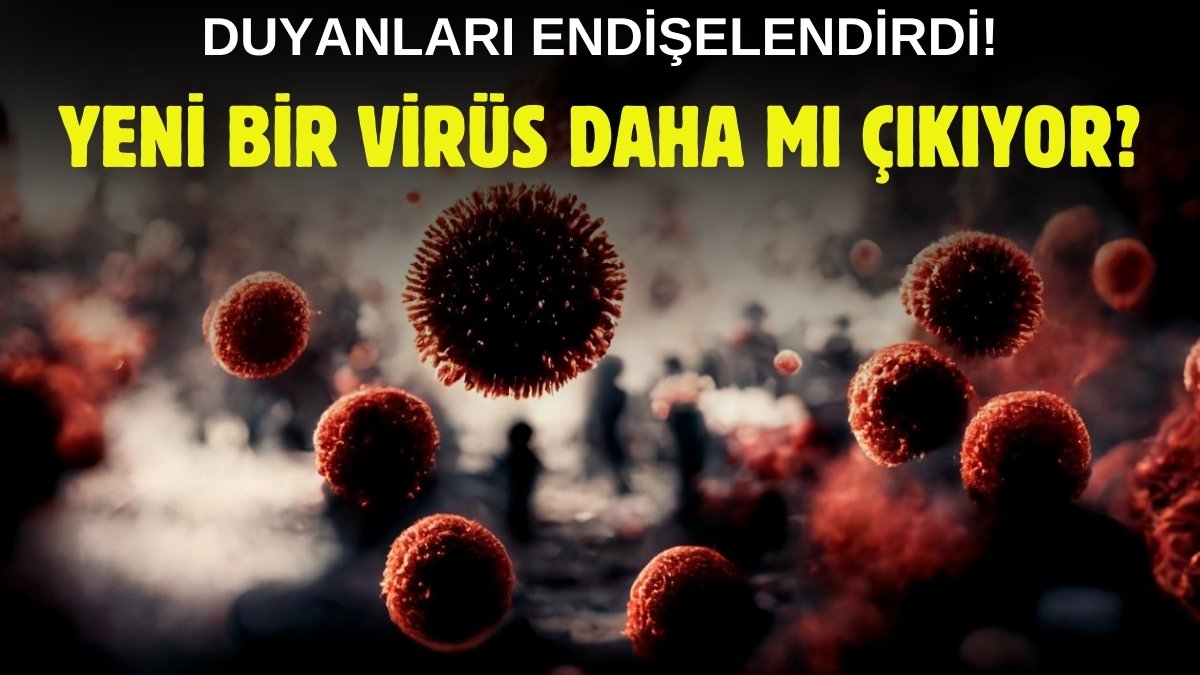 Tavuk etinden bulaşan hastalık salgını! Raflardan hepsi toplatılıyor, milyonlara uyarı yapıldı: Sakın yemeyin