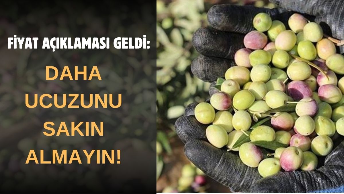 Hakiki zeytinyağının beklenen fiyatı belli oldu! Fiyatlar düşüyor...Eğer bu rakamın altındaysa sakın almayın
