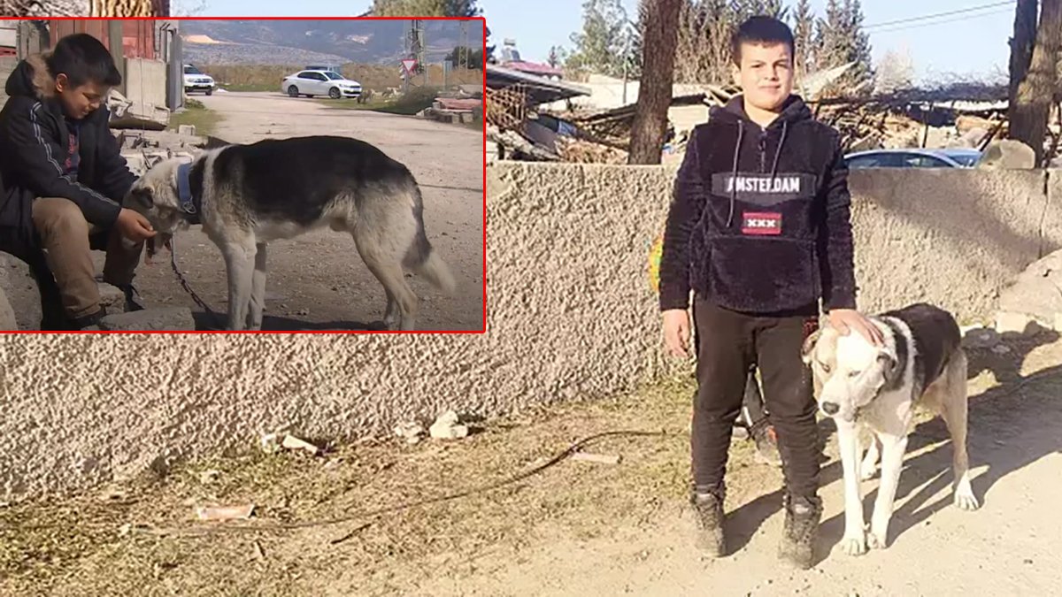 Depremden 12 yaşındaki Çınar'ı kurtaran Alex'e de kıydılar! Katliam yasasının son kurbanı...