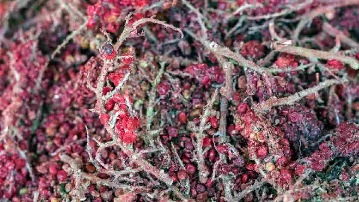 Doğanın mucize kaynağı! Yükselen şekeri sabitliyor, insülin görevi görüyor: Limon ve sarımsakta olmayan etki