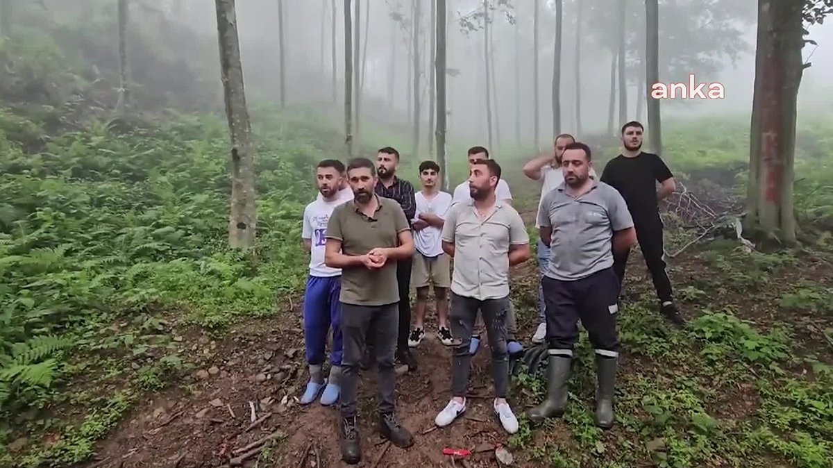 Dehşet veren olay! Hopa'da ormanı savunan köylülere ateş açıldı! Ölü ve yaralılar var