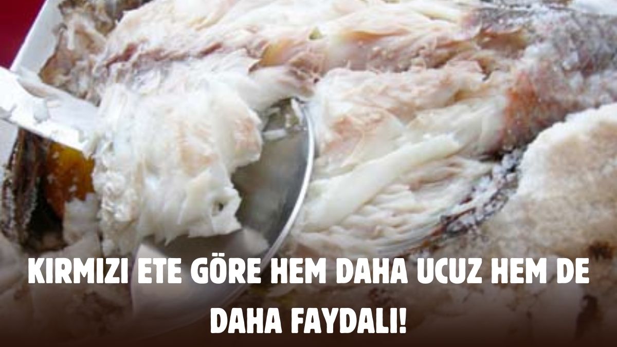 Kırmızı eti solluyor, fiyatıyla da faydasıyla da eşsiz görünüyor! Etten 3 kat daha ucuz lezzet: Yiyen zımba gibi oluyor