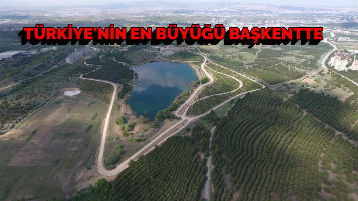 Türkiye’nin en büyüğü Başkentte! Türkiye'nin bitki hafızası: Hafta sonlarının en güzel kaçamağı oluyor