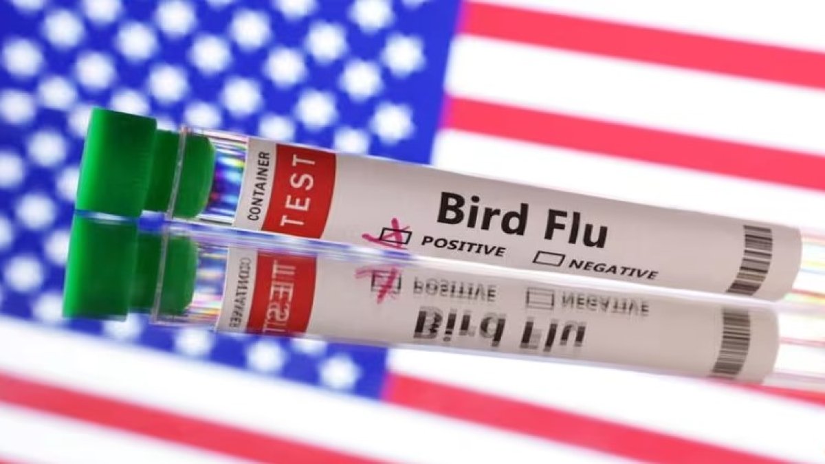Kuş gribinde korkulan oldu: Hayvanlarla teması olmayan kişide ilk vaka