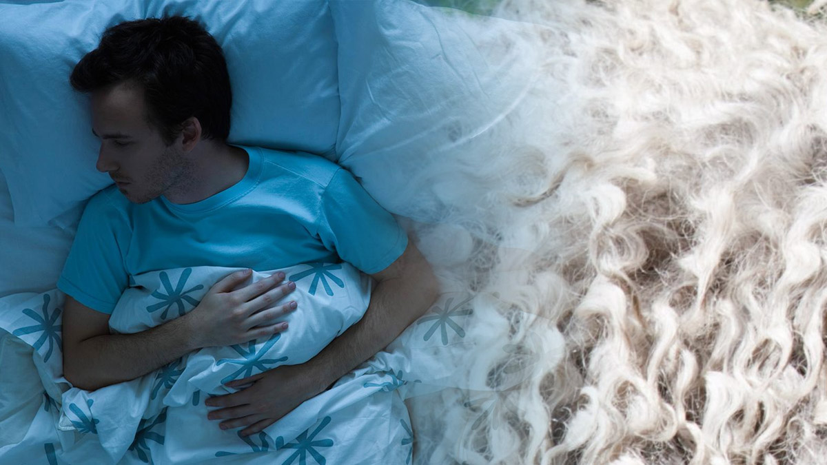 Gören burun kıvırıyordu! Yün yorganın öyle bir faydası çıktı ki... Duyan yazın bile yün yorganla uyuyacak