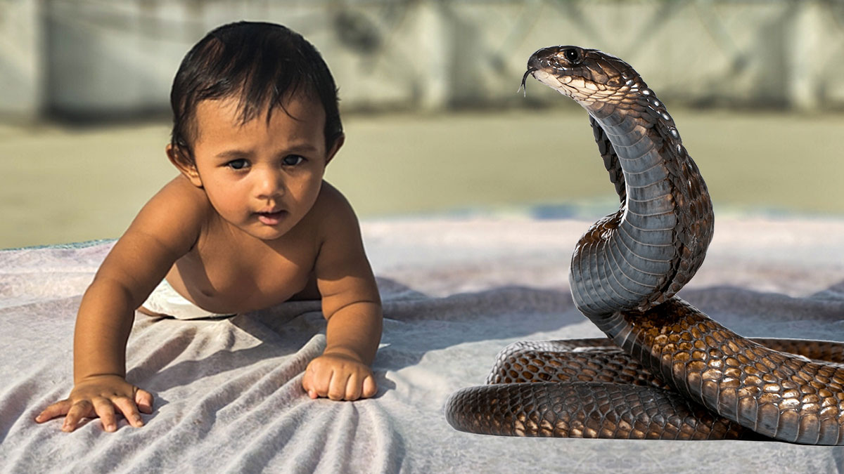 Çocuk, oyuncak zannettiği yılanı ısırdı: Hastaneye gidince şoke oldular! Doktorun sözleri, aileyi rahatlattı