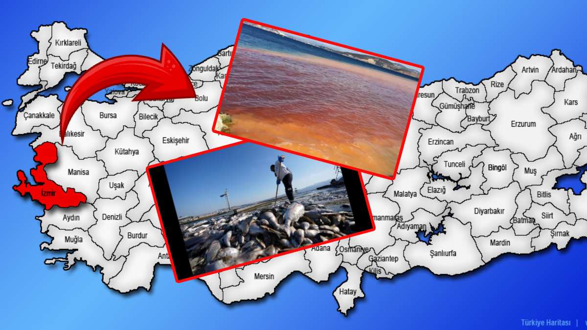 O görüntü depremin habercisi mi? 1999'da aynısı yaşanmıştı: İzmir'de o manzara korkuttu