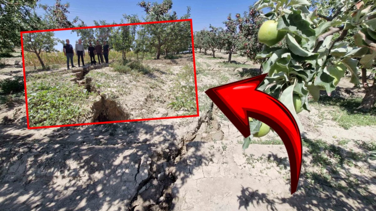 Elma bahçesine giren adam gördükleri karşında şok oldu! 100 metre uzunlukta, 1 metre derinlikte... Gittikçe büyüyor
