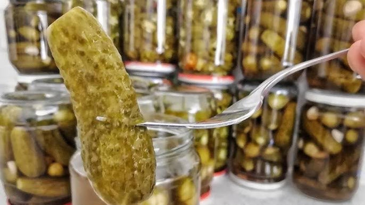 1 haftada kütür kütür turşunuz hazır: 1 yaprak bundan koyun yeter