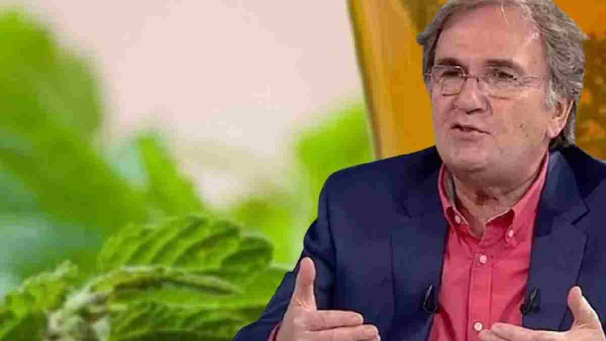 İbrahim Saraçoğlu’nun favori besini! Toplumda dalagan olarak biliniyor birçok soruna çözüm oluyor: Mutlaka tüketin