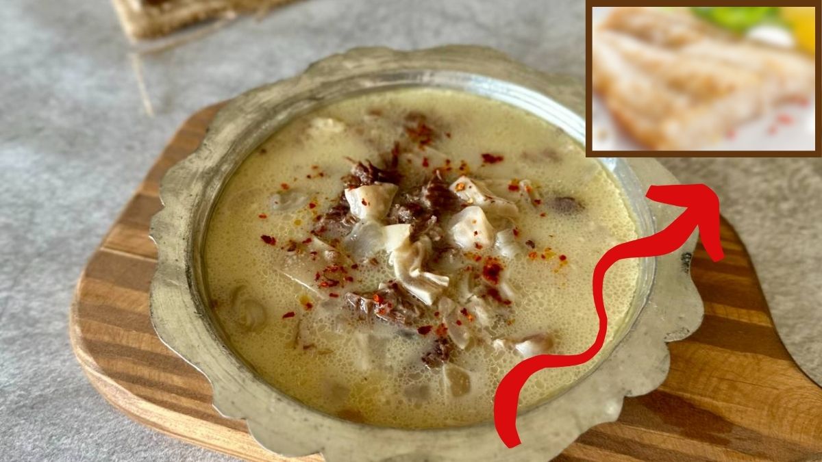 Faydaları kadar zararlarının da olduğu bilinmiyor! Kelle paça değil bunu tüketin: Faydası çok zararı hiç yok