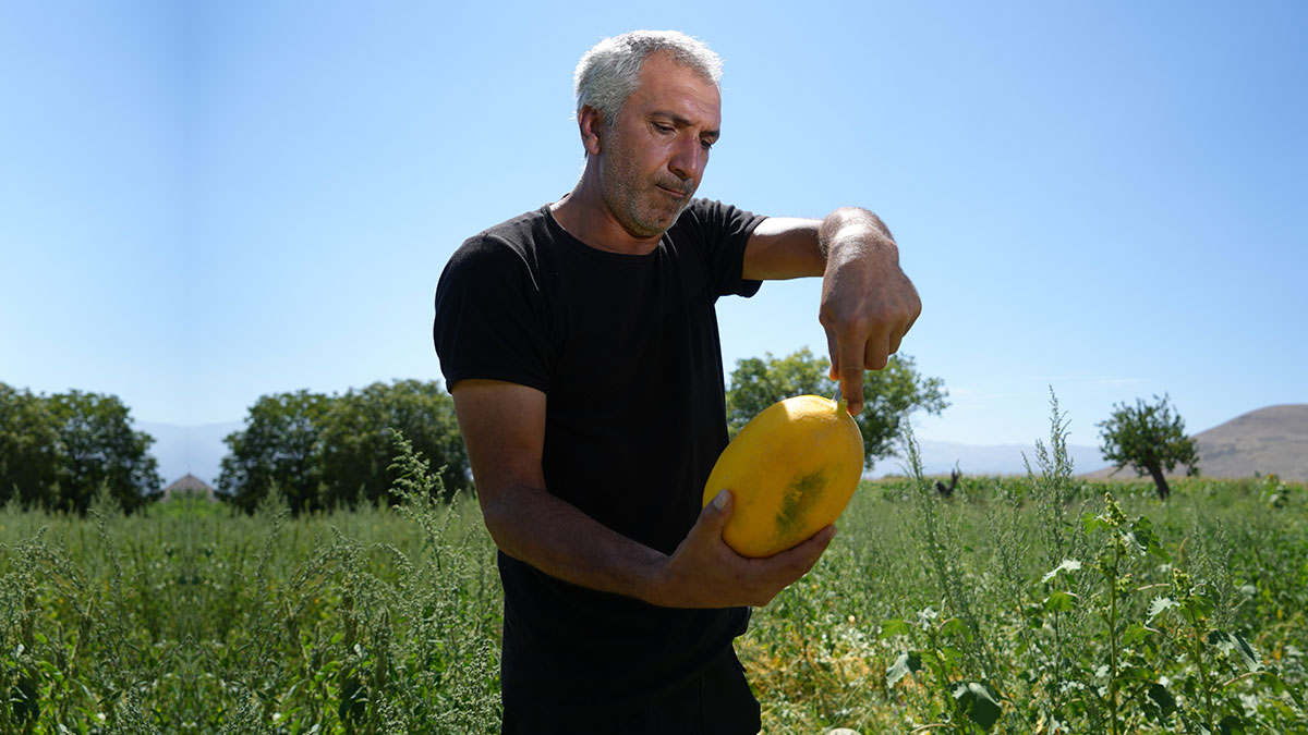 Kavun üreticisinin hareketi tepki çekti! Onca yoksul insan varken böyle yapılmamalıydı...