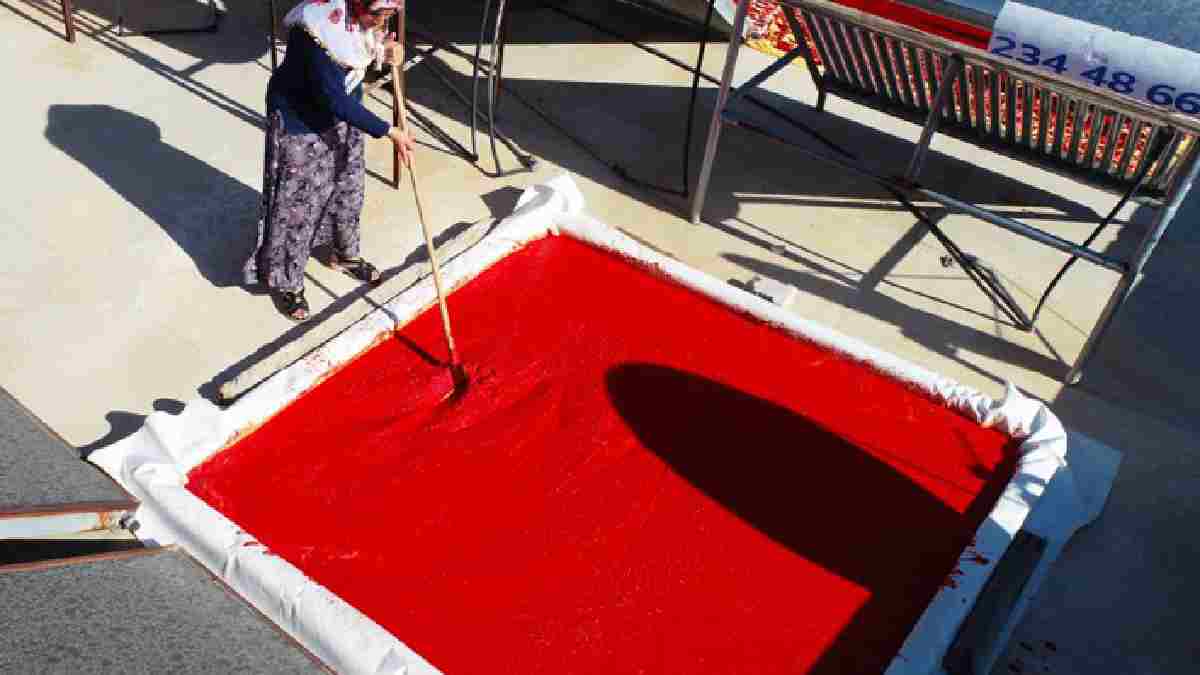 Adana’da kadınlar bu yöntemle yapıyor, 1 yıl boyunca küflenmiyor! Kışın en garanti hazırlığı: Size afiyetle tüketmek kalıyor