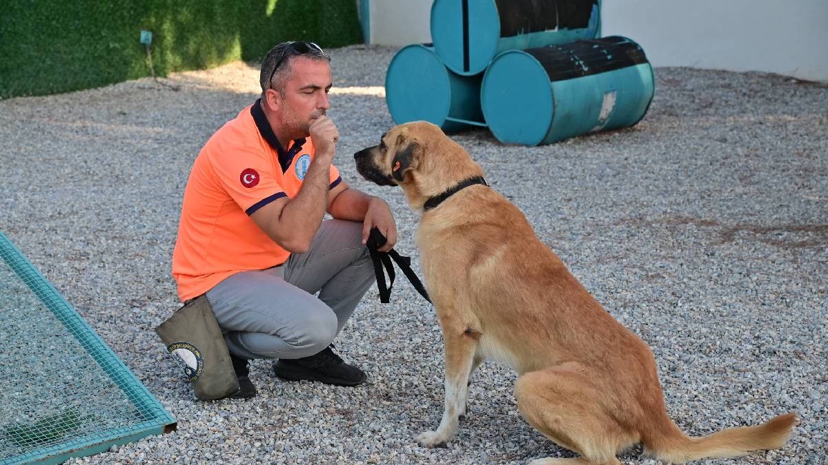 Can dostlarımız yalnız kalmayacak