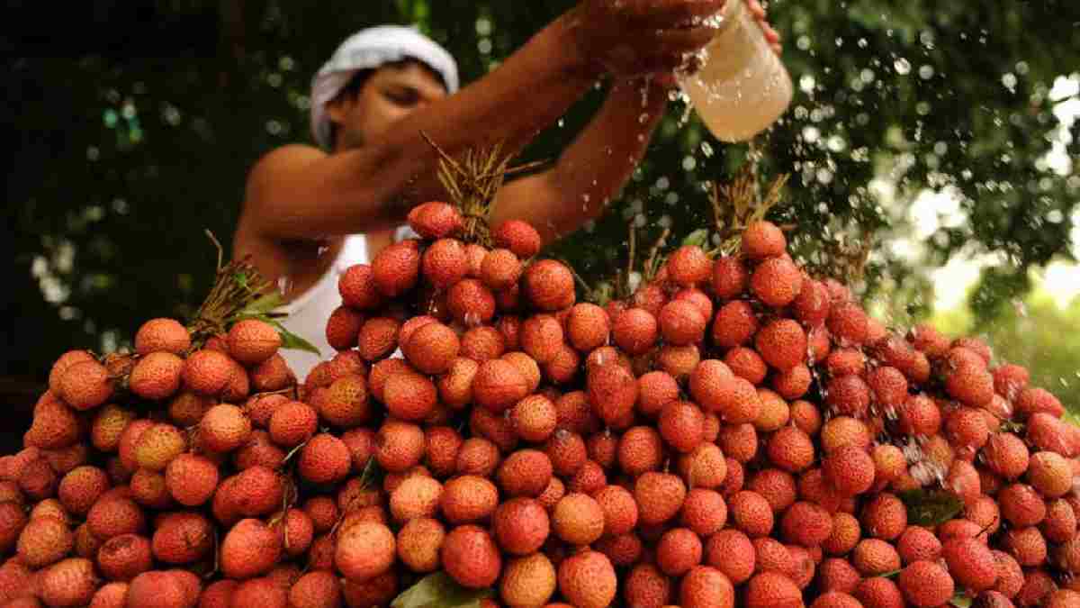 Duyanlar akın akın pazarda bu meyveyi arıyor! Gençliğin iksiri, sağlığın meyvesi: Türkiye'de çok az kişi biliyor