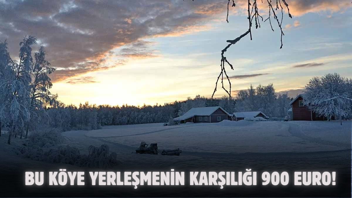 İsveç'teki bu köye gidenlere 900 Euro ödenecek! AB vatandaşı olmayan da başvurabiliyor: İşte aranan şartlar