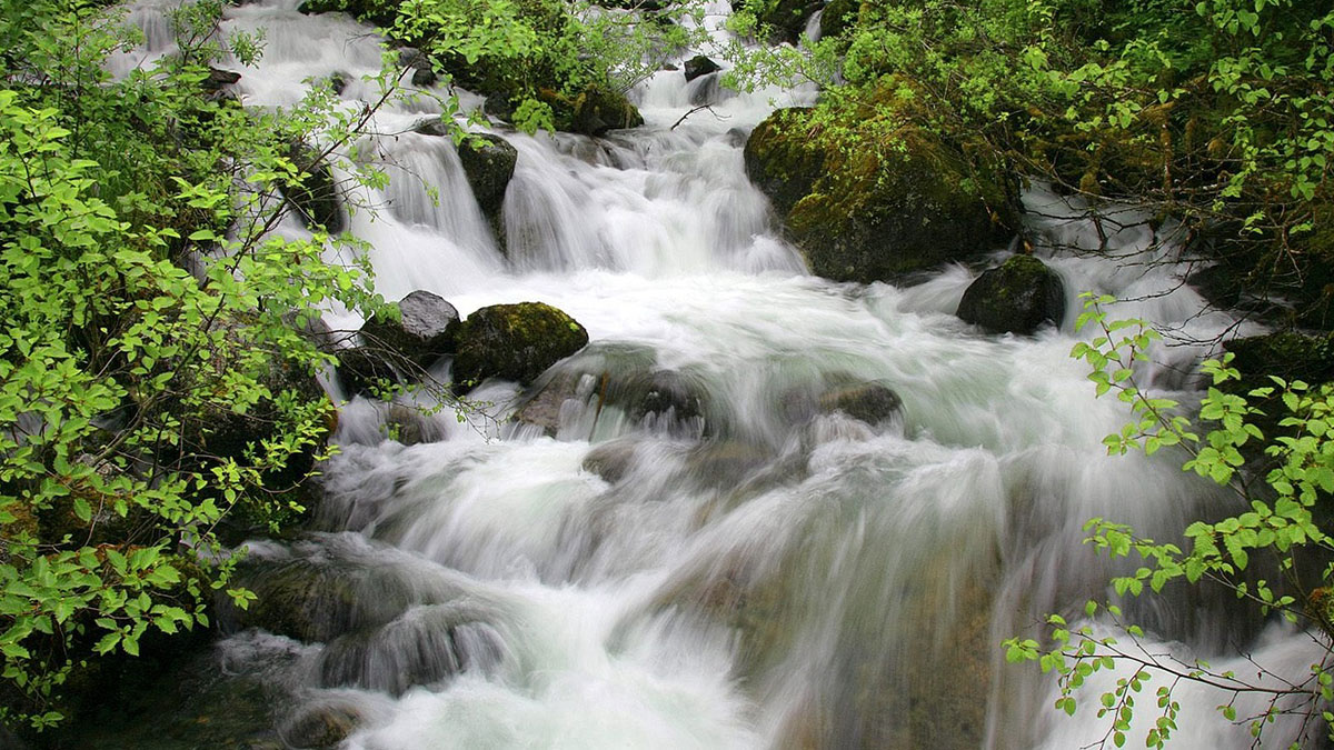 Suyun bir hafızası var, asla unutmaz