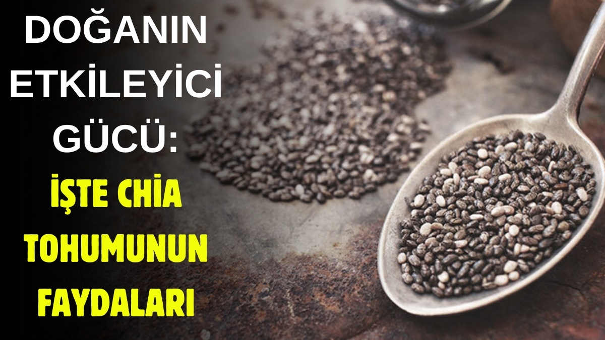Doğanın bahşettiği inanılmaz güç! Chia tohumu tüketen sağlığına kavuşuyor: İşte faydaları…