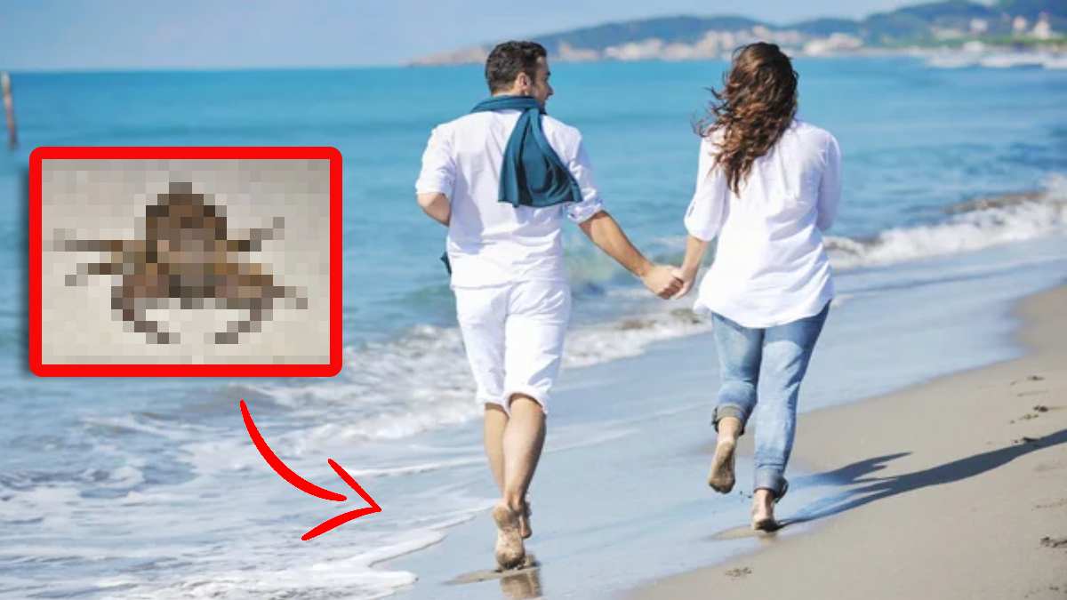 Suya girenlerin ayak parmaklarını yiyor! Sahilde terlikle dolaşırken dikkat: O ilimizde görülmeye başlandı