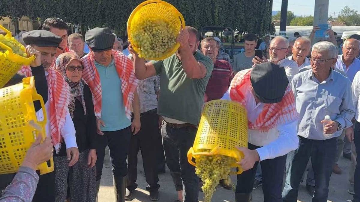 Üzümler dalında bozuldu: Alım fiyatı 18'den 7'ye düştü