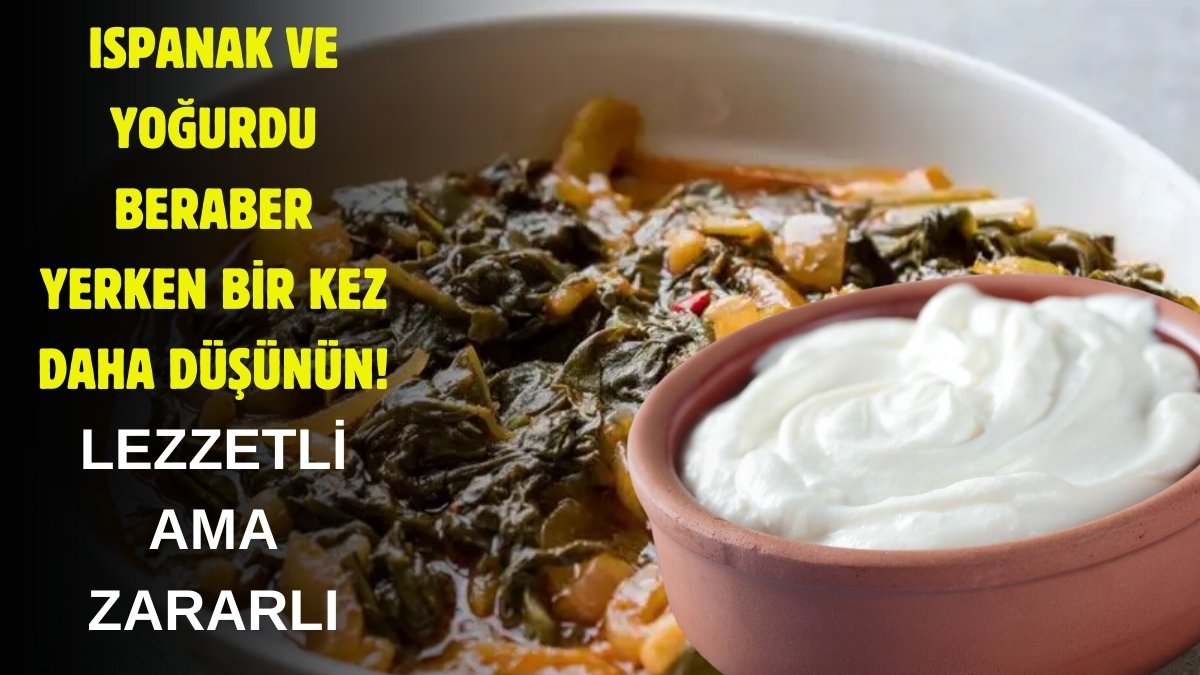 Ispanağın üzerine yoğurt dökmeden önce bir kez daha düşünün! Lezzetli oluyor ama tüm faydasını sıfırlıyor