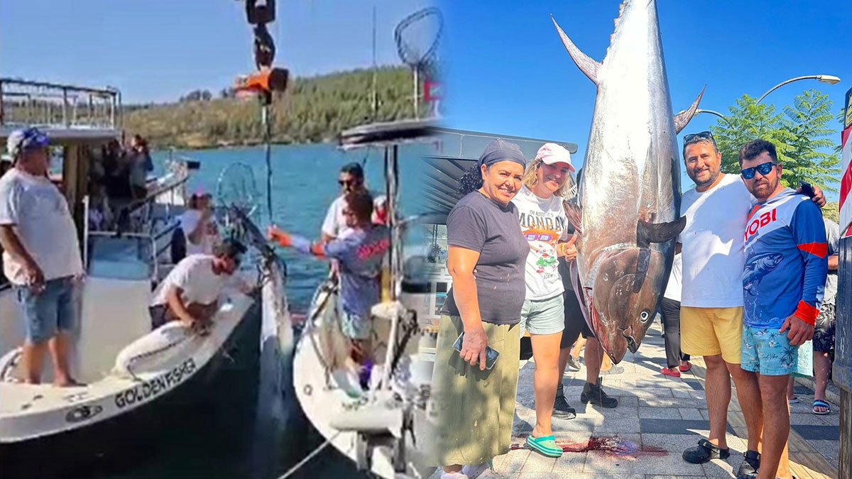 O kadar büyüktü ki ancak kuyruğundan çekerek getirebildiler! Vinçle karaya çıkarıldı, her gören fotoğraf çektirdi