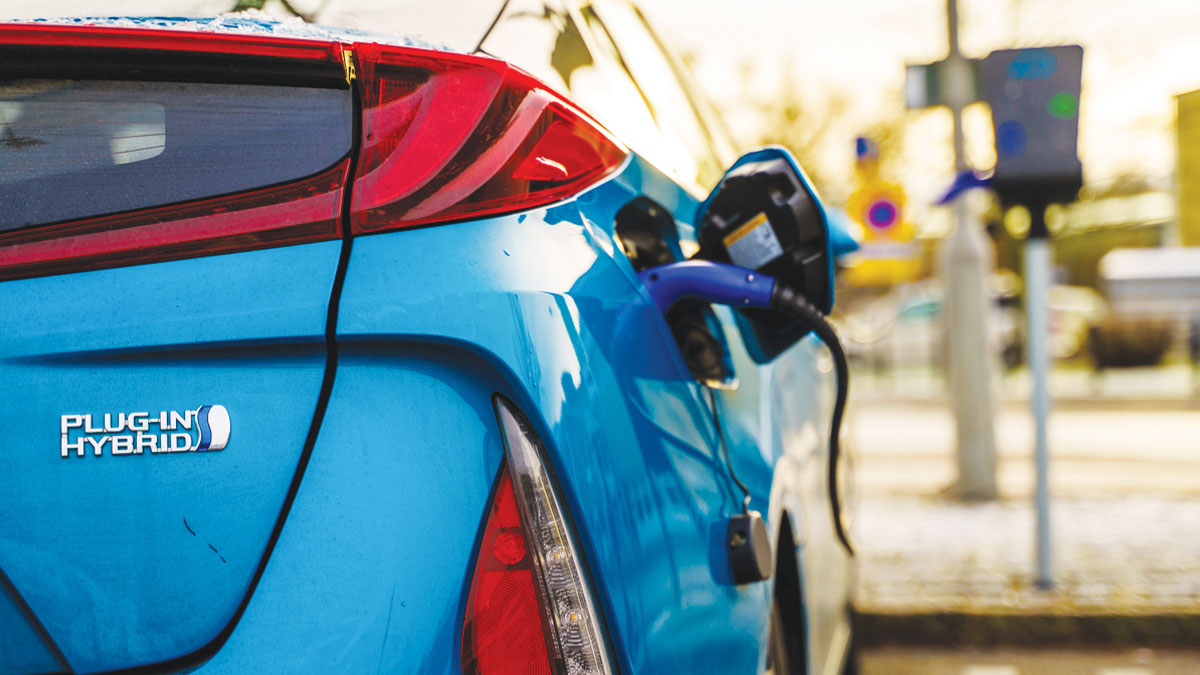 Yatırıma teşvik denildi yerlinin önü kesildi