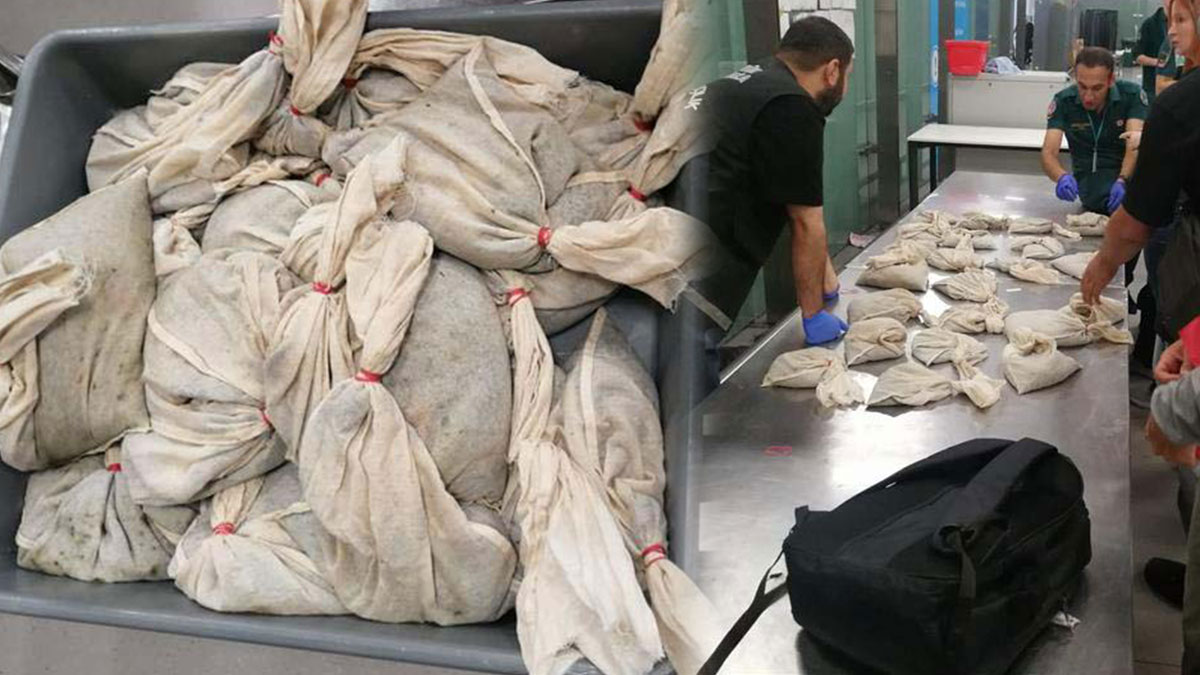 Valizden çıkanlar şaşkına çevirdi: Canlı canlı torbalara koymuş! Şüphelenip arama yapınca ortaya çıktı