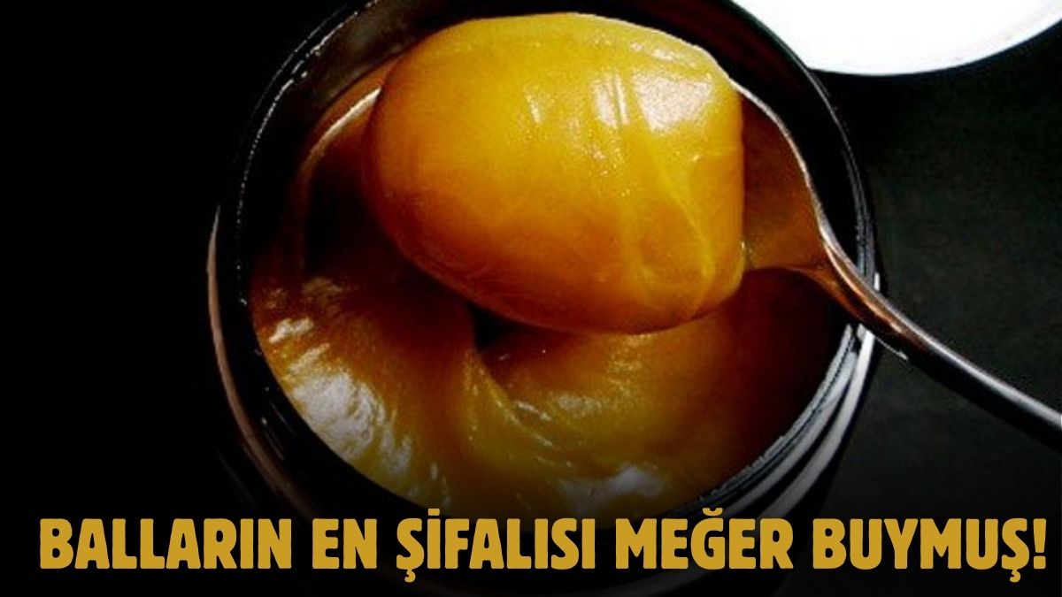 Herkes anzer ya da kestane sanıyordu ama değilmiş! Etkisi 140 kat daha fazla: İşte balların en faydalısı