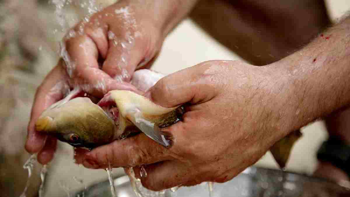 Balık temizlemenin en kolay yolu buymuş! 40 yıllık balıkçıların sırrı... Bir tane bile kılçık kalmıyor
