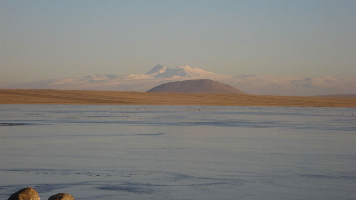 CHP'li İnan Akgün Alp'den Kuyucuk Gölü çağrısı: Ne kuş kaldı ne de cennet