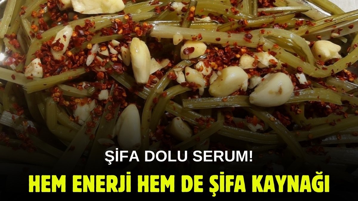 Yerli Kovid aşısı, fakirin serumu... Süper tat olarak biliniyor, en güzel Sivaslılar yapıyor! İşte pezik turşusu faydaları