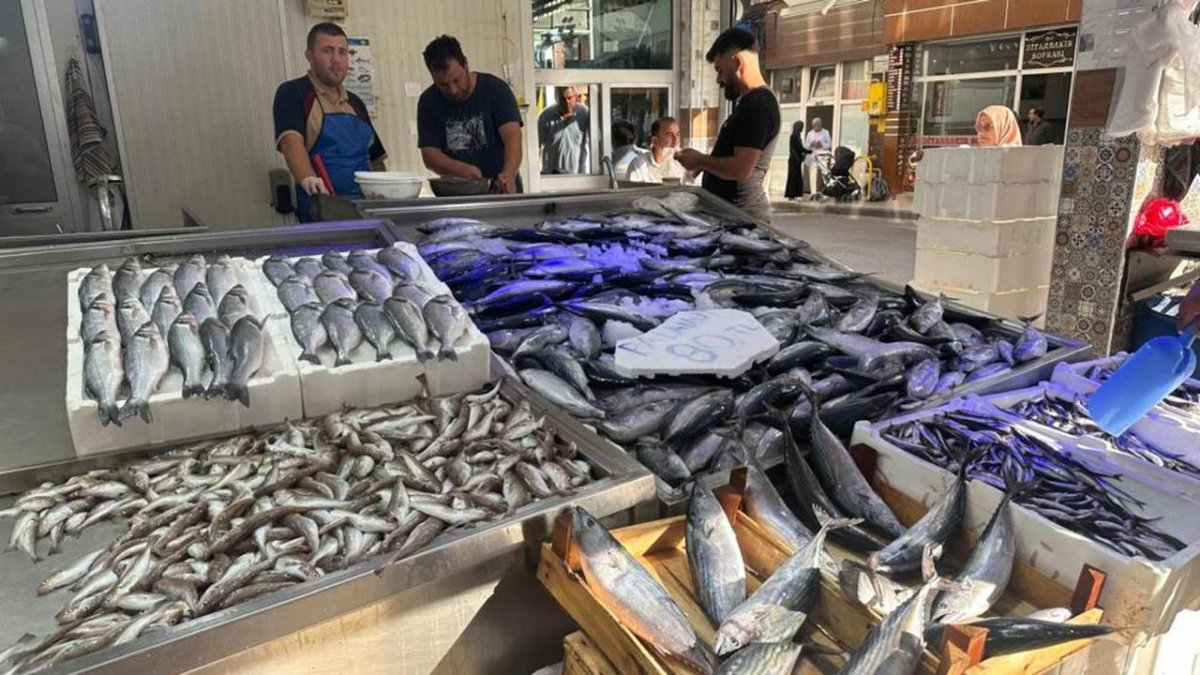 Karadeniz'de palamut bolluğu: Fiyatlar düşüşte