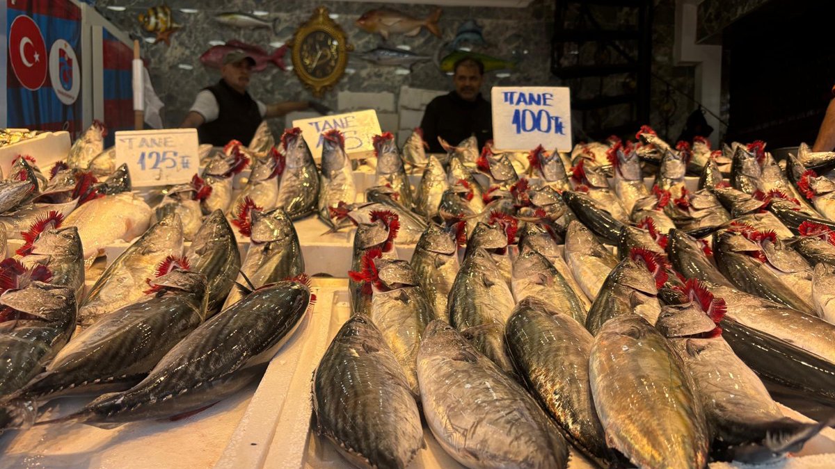 Karadeniz'de palamut irileşti, fiyatlar arttı: Kimse pahalı demesin