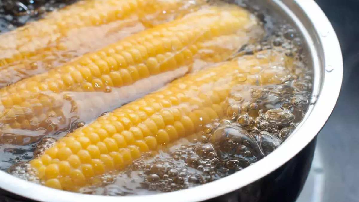 Mısırın bu faydasını kimse bilmiyor! Yazın bol bol tüketin! Etkilerine inanamayacaksınız