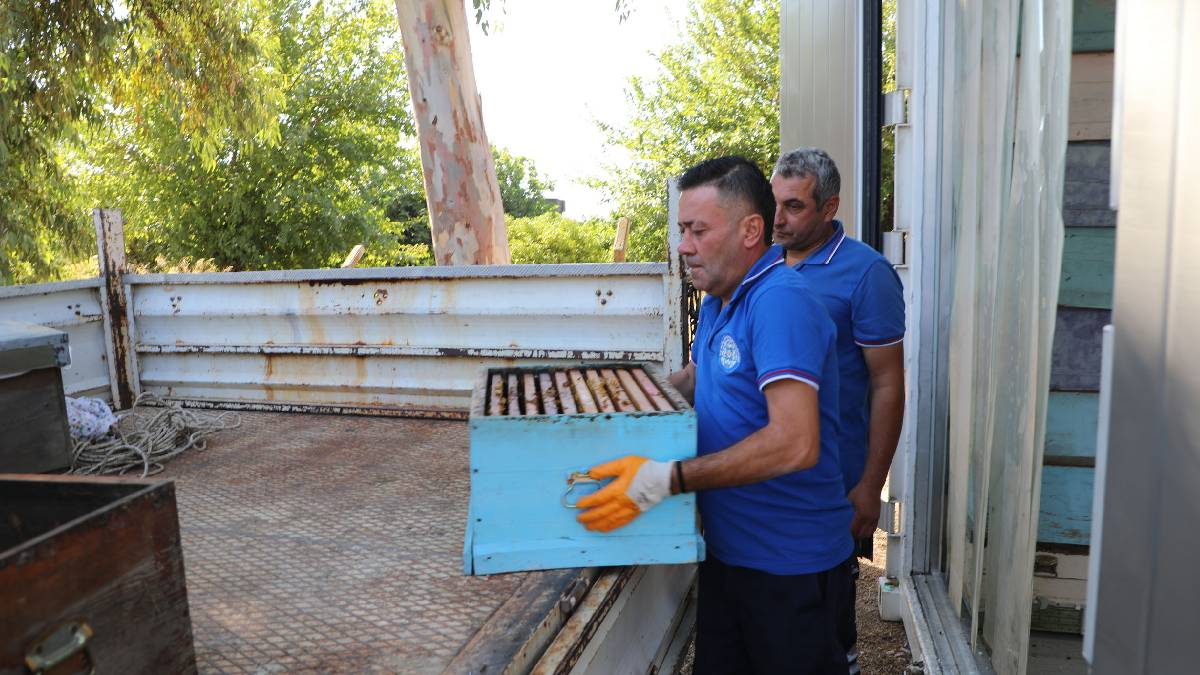 Yerel yönetimler arasında bir ilk: Temiz Petek Projesi