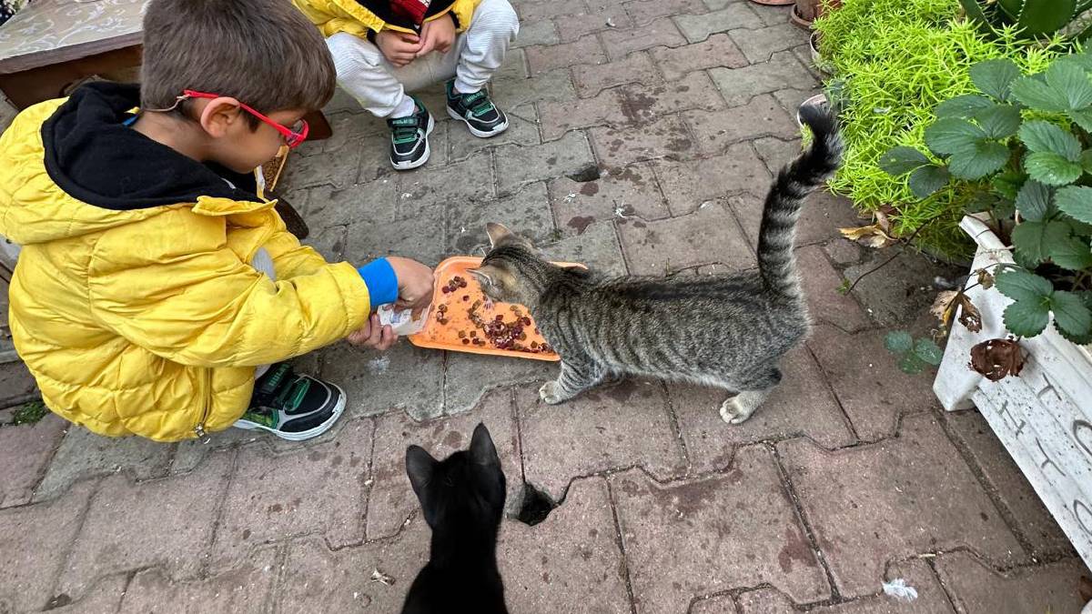 4 Ekim Hayvanları Koruma Günü’nde Kartal Belediyesi’nden anlamlı etkinlik