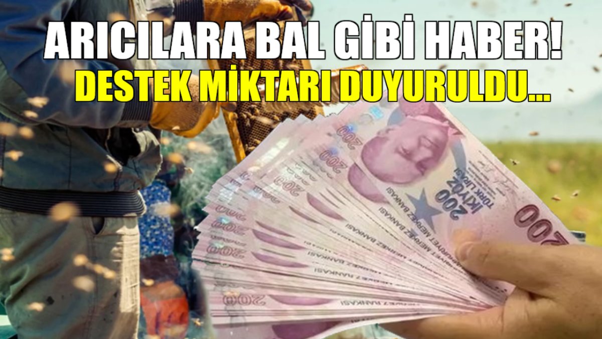 Arıcılara bal gibi haber! Kovan başına verilecek destek tutarı açıklandı, başvuru yapmayan alamayacak